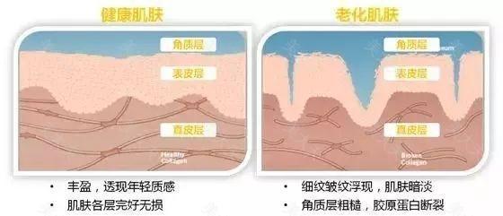 不要错过这个修复毛孔、黑头的好季节！错过要再等一年哦