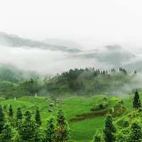 郑春涛