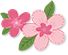 漂亮的樱花
