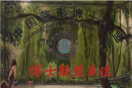荣誉4.png