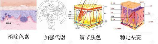 “肤色暗沉十余年，我是如何改善它的”